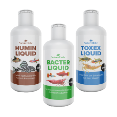 ToxEx Liquid ist ein flüssiger Schadstoffbinder auf 100% natürlicher Basis zur Entfernung von giftigen und unerwünschten Stoffen aus Ihrem Aquarium. Dieses Produkt wurde in einer der größten Wirbellosenanlagen in Deutschland entwickelt und hat sich im täglichen Gebrauch bewährt. ToxEx Liquid bindet auf rein natürliche Weise Blei, Kupfer und andere Schwermetalle sowie Medikamentenrückstände restlos und entfernt sie so aus Ihrem Aquarienwasser. Daneben werden organische Stickstoffverbindungen wie Ammonium, Ammoniak und Nitrit gebunden, die für Garnelen und andere Wirbellose ebenfalls sehr schädlich sein können. Das Wasser wird kristallklar und vitalisiert, die Bewohner fühlen sich sichtbar wohler. ToxEx kann Laichverpilzungen bei Fischen und Wirbellosen verhindern helfen und das allgemeine Befinden der Aquarienbewohner verbessern. Auch Cyanobakterien (Blaualgen) macht ToxEx das Leben ungemütlich und sorgt so dafür, dass sie sich nicht verbreiten können. Dosieren: Anweisungen auf der Flasche beachten - 10 Tropfen pro 10 l Aquarienwasser