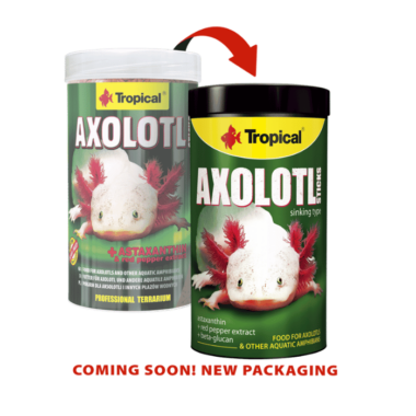 Axolotl futter